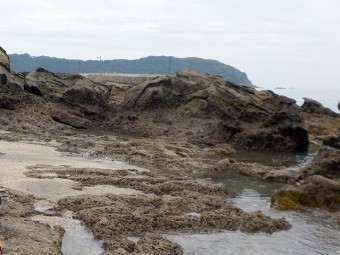 豊岡海水浴場-岩場